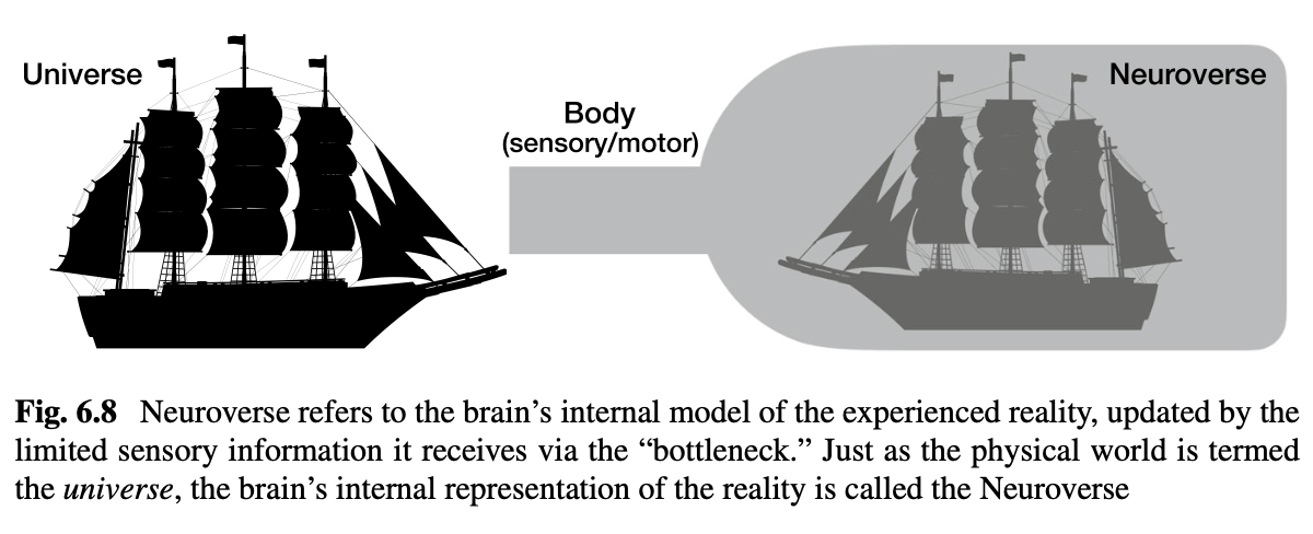 Decoding Shitsukan in the brain